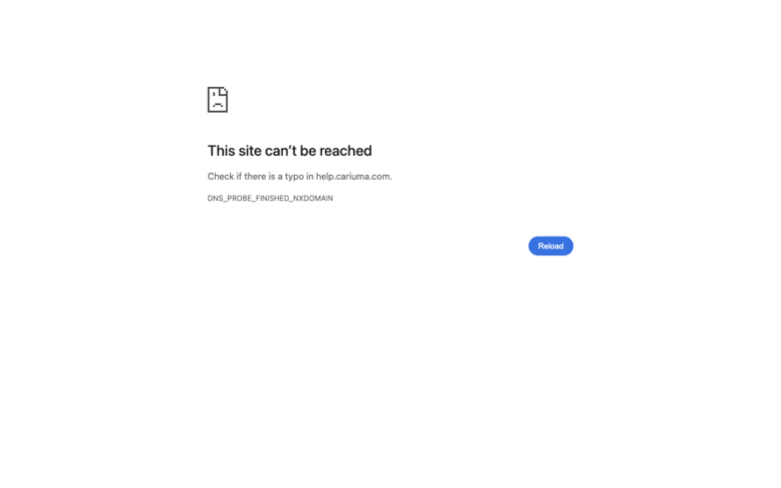 Cariuma page where the agent's errand stalled — the last screen before it stopped